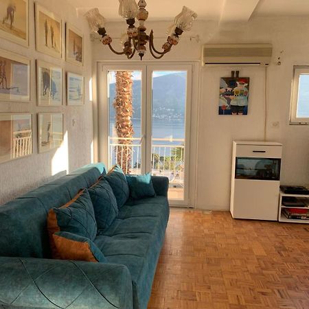 Apartments Maya Herceg Novi Dış mekan fotoğraf