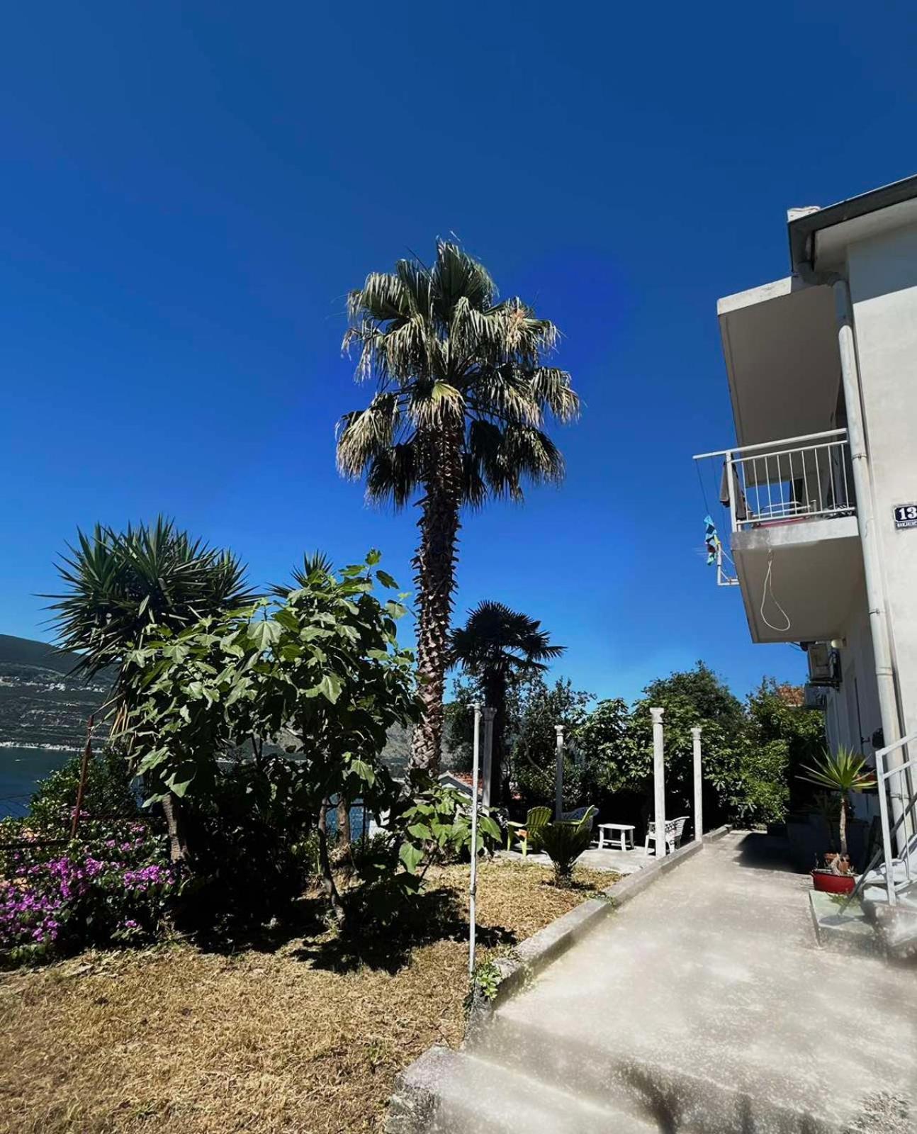 Apartments Maya Herceg Novi Dış mekan fotoğraf