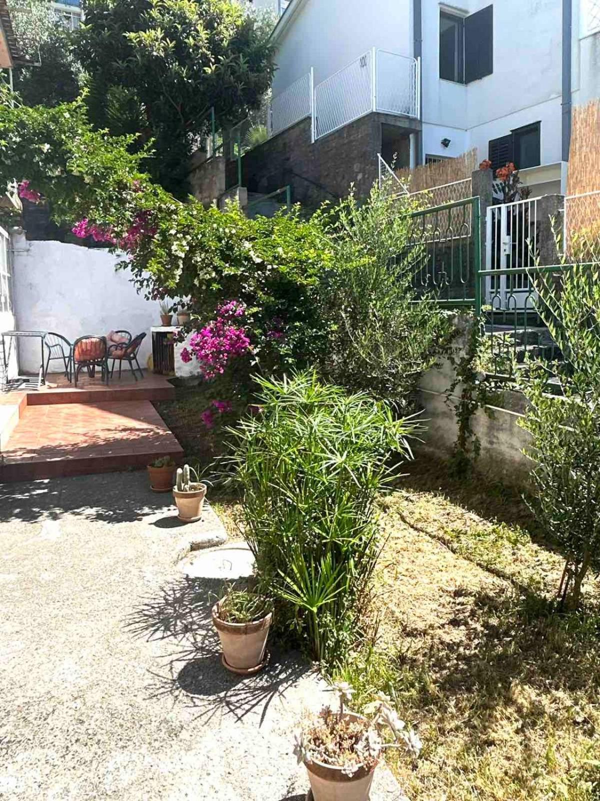 Apartments Maya Herceg Novi Dış mekan fotoğraf
