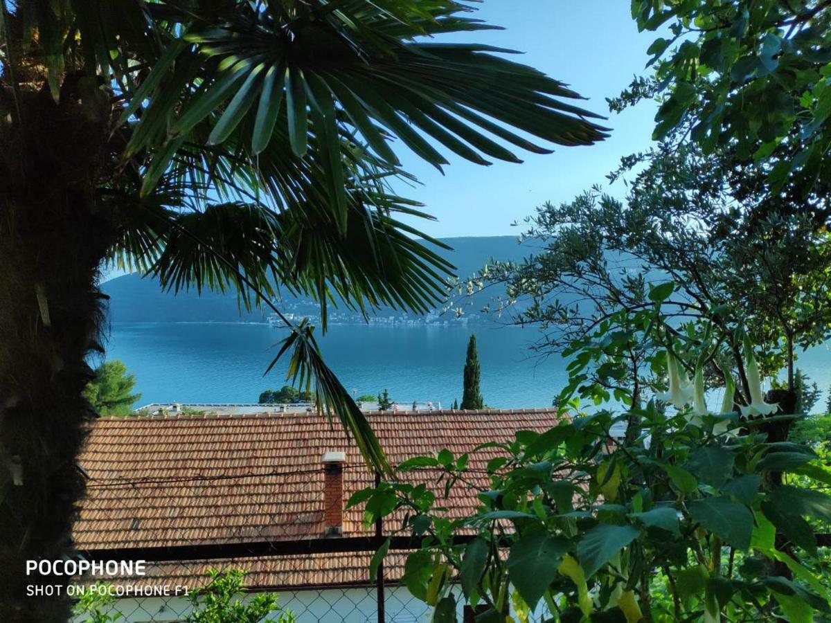 Apartments Maya Herceg Novi Dış mekan fotoğraf